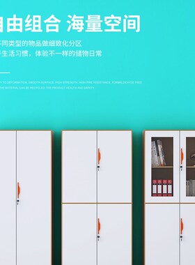 新款加厚办公室拆装文件柜钢制套色铁皮柜资料柜档案凭证柜储物柜
