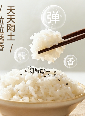 藤婆双微压陶瓷1L一人食电饭煲