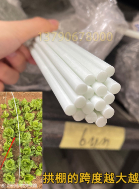 6mm玻璃钢弹力棒菜棚支架保温棚花棚拱顶地拱杆 玻璃纤维杆