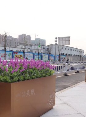 厂家包邮不锈钢方形花器金属黑色白色花盆阳台蔬菜种植花箱