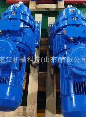MB55-5.5KW-XWD6无极调速减速机带式给煤机减速器MB150无极减速机
