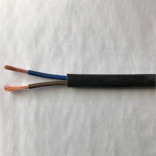 国标纯铜芯RVV电源线2芯4平方电线电缆电缆线家装电线软护套线 - 图1