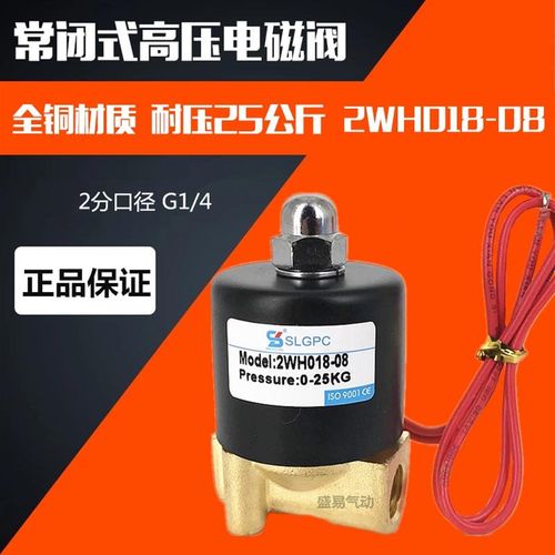 2分高压电磁阀 2WH018-08 常闭高压水阀气阀 AC220V DC24V SLGPC - 图0