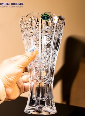 捷克进口BOHEMIA水晶玻璃花瓶插花器家用客厅小号花瓶桌面装饰瓶