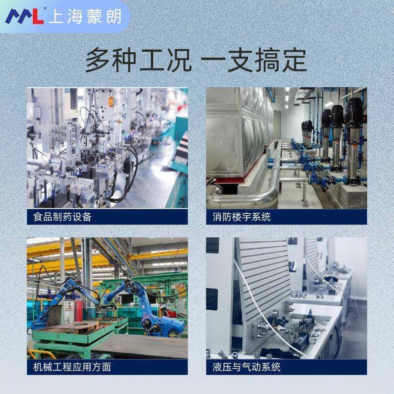 PSR30-1-BGHD-ZZA-AM4-5MW压力传感器替代倍加福P+F压力变送器 - 图1