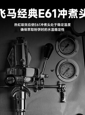 FAEMA飞马 意式半自动商用咖啡机双头电控 意大利原装进口E61 A2