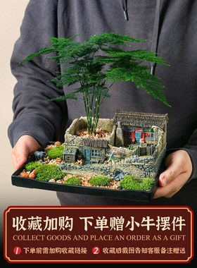 中国风小盆景摆件办公室内客厅花架装饰品解压桌T面苔藓微景观造