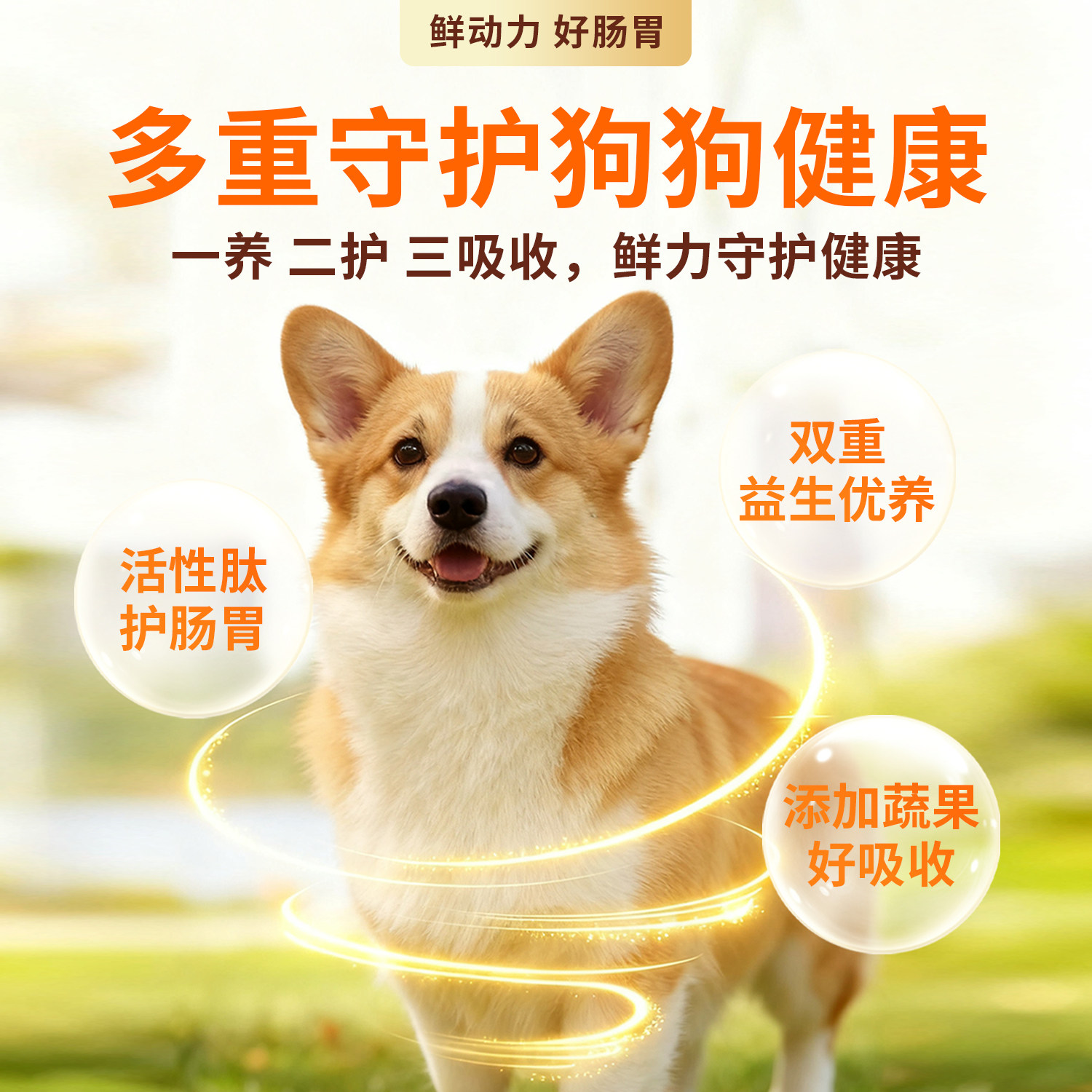 商品图