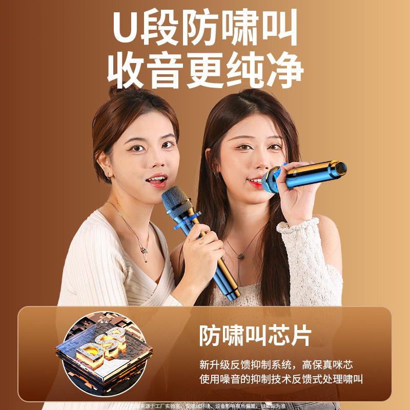 专业无线话筒万能通用麦克风U段一拖二音响功放K歌卡拉OK家用唱歌 - 图1