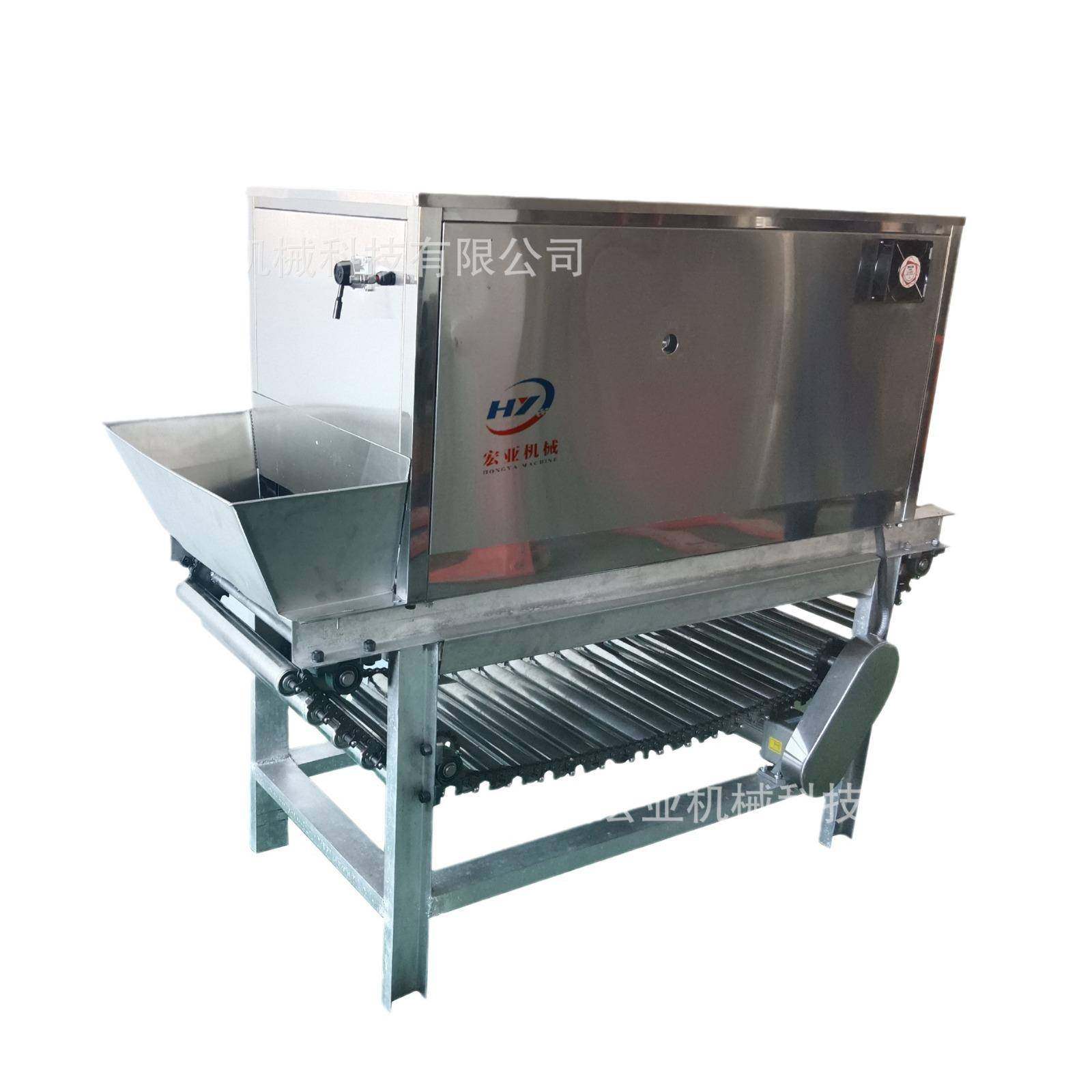 洋葱红葱头除皮剥皮机全自动链条式大蒜脱皮机不锈钢去皮机设备,淘宝优惠券,粉丝福利购,淘宝优惠卷