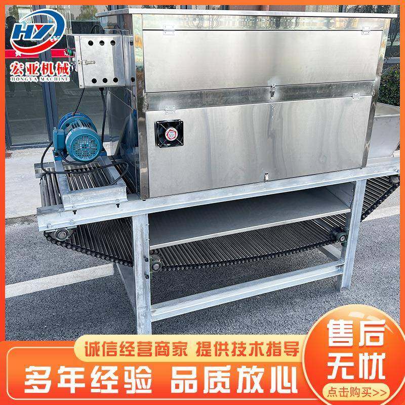 洋葱红葱头除皮剥皮机全自动链条式大蒜脱皮机不锈钢去皮机设备,淘宝优惠券,粉丝福利购,淘宝优惠卷