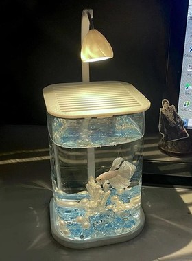 鱼缸网红斗鱼专用超白小型玻璃缸B客厅桌面创意摆件高级生态观赏