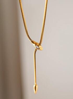 钛钢不掉色~设计感灵蛇锆石项链女锁骨链蛇骨颈链复古时尚