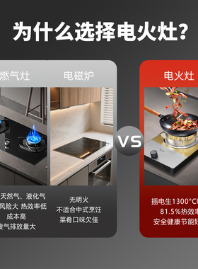 2026新款电火灶纯电生明火
