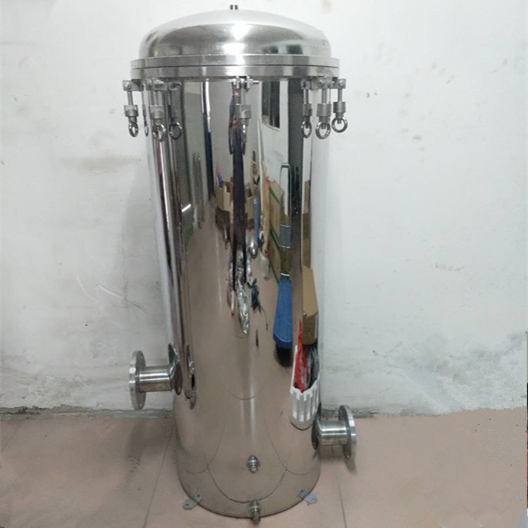 不锈钢保安过滤器不锈钢保安过滤器厂家直销滤芯超滤除菌 - 图2