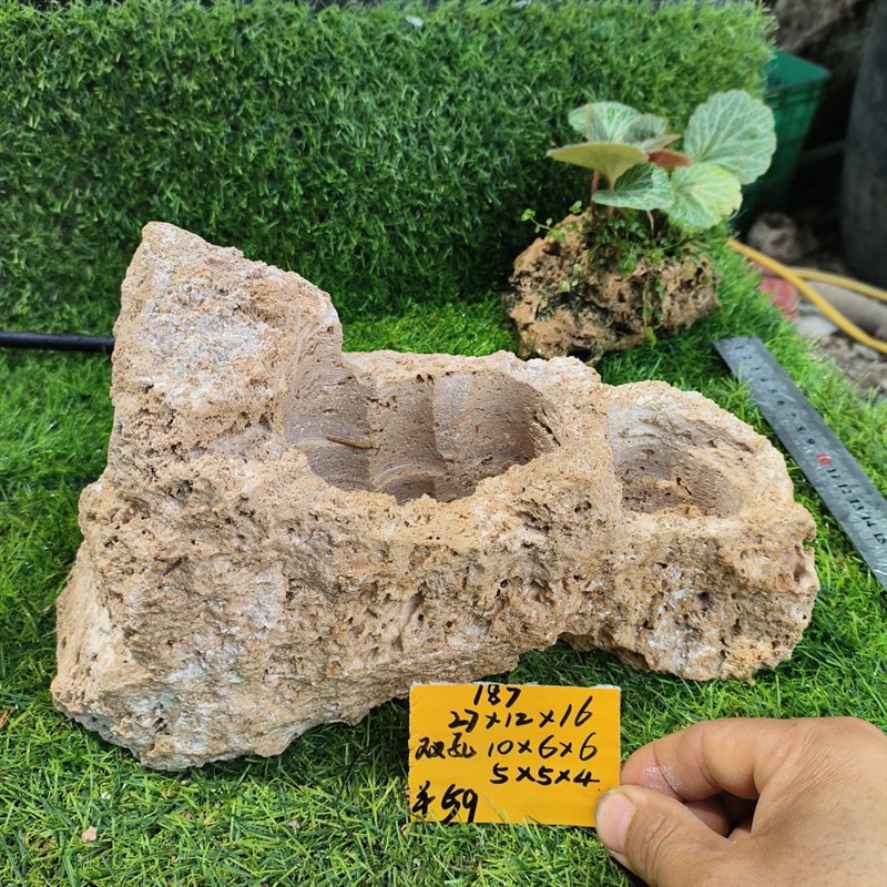 吸水石上水石小盆景石头自吸水花盆菖蒲石斛蕨类文竹小.植物创意 - 图3