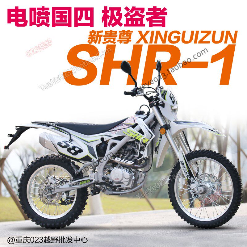 现货2021款新贵尊极盗者-1B国四电喷上牌250CC山地高架越野摩托车 - 图0