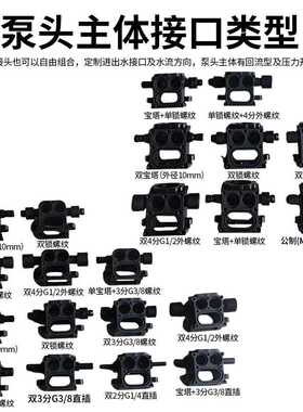 12V24V60W车载洗车器防疫消毒喷雾水泵四分智能隔膜泵1/2雾化泵