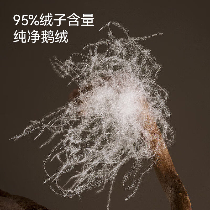 NXD官方旗舰店正品95白鹅绒被羽绒被加厚保暖春秋冬加厚被子被芯,淘宝优惠券,粉丝福利购,淘宝优惠卷
