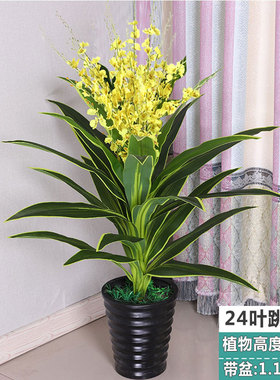 高品质假花仿真巴西木龙血树
