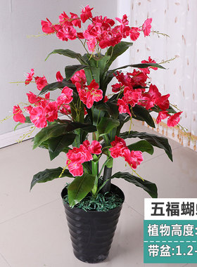 仿真植物塑料花假花蝴蝶兰盆栽