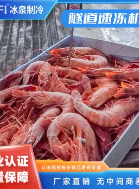 隧道式速冻机  速冻隧道可生产肉类制品海鲜水产 产量要求300kg/h