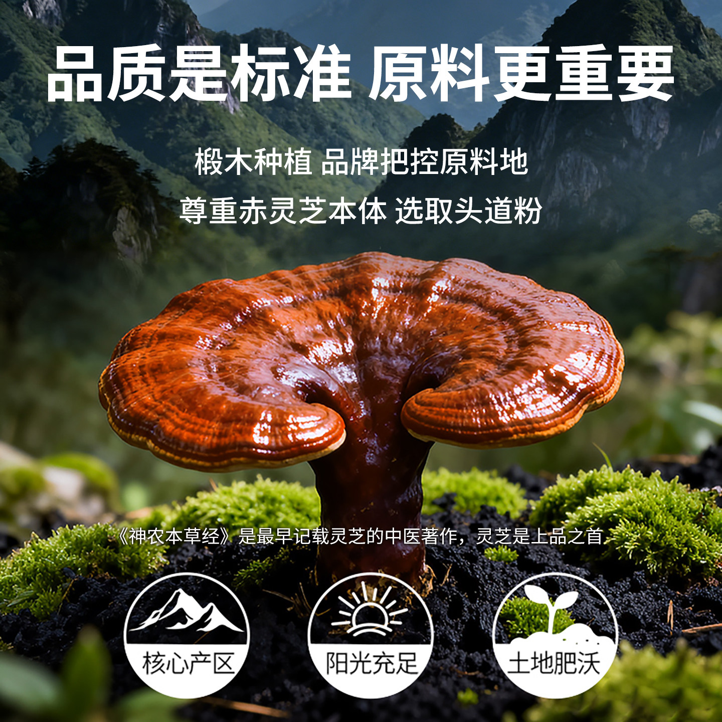 雷允上诵芬堂破壁灵芝孢子粉赤灵芝正品官方旗舰店增强免疫力礼品,淘宝优惠券,粉丝福利购,淘宝优惠卷