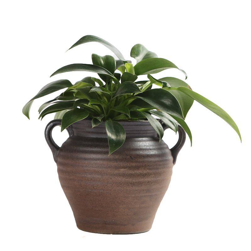 壁挂花盆陶瓷免打孔创意阳台多肉墙上悬挂式垂吊盆别墅院装饰花器,淘宝优惠券,粉丝福利购,淘宝优惠卷