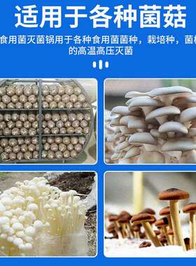 食用菌杀菌锅蘑菇灭菌锅全自动商用杀菌设备香菇菌棒杀菌锅定 制