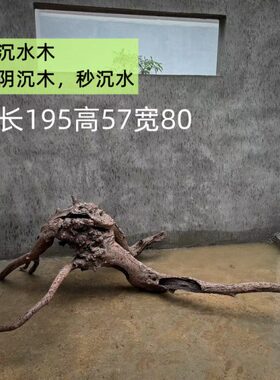 老木头沉水木乌木类根雕章鱼造型枯木朽木深山老木侘寂风