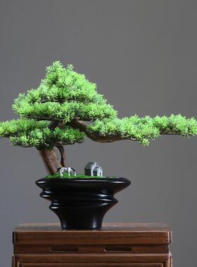 永生苔藓微景观绿植盆景桌面造景样板房酒店茶几高端仿真植物盆栽