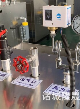 鸡产品解冻全自动热源机 冷冻品蒸煮锅炉出气快 持续稳定