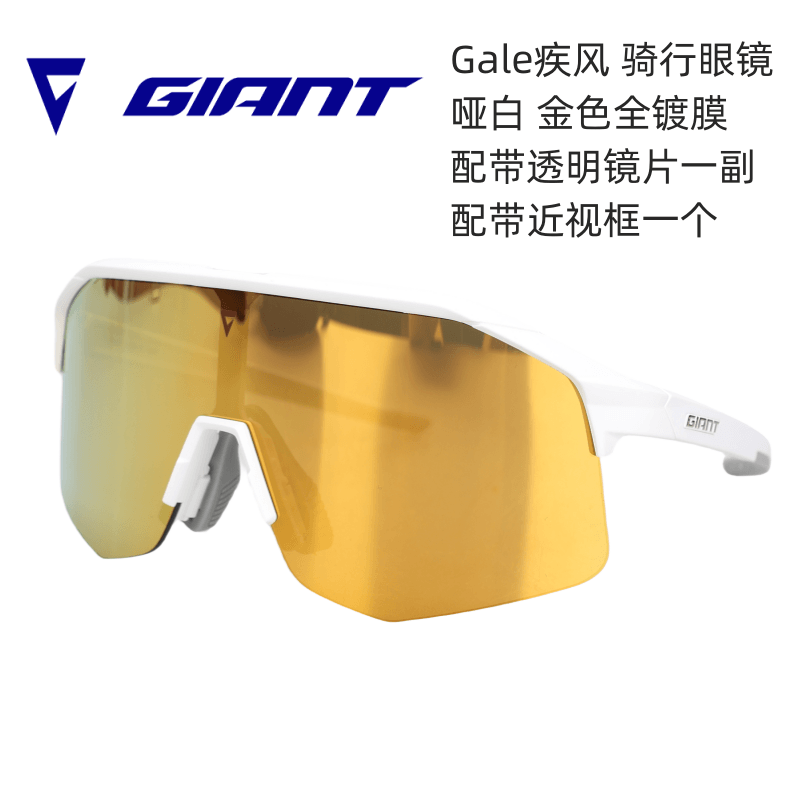 捷安特Giant丽以芙L骑行眼镜疾风哑白紫色山地公路车防风防晒眼镜-图2