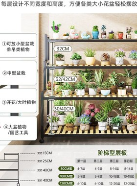 花架阳台置物架2024新款阶梯多层植物移动花盆架S花架子客厅落地