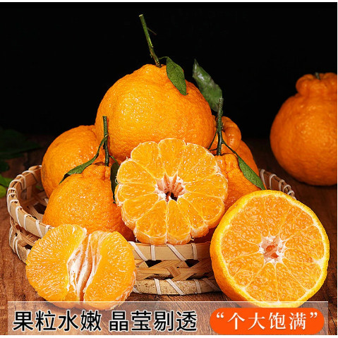 【下单立减50】正宗四川不知火丑橘丑橘当季新鲜水果橘子柑橘,淘宝优惠券,粉丝福利购,淘宝优惠卷