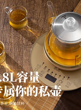 德源电热水壶全自动煮茶器玻璃养生炉家用恒温一体小型烧水随手泡