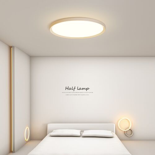 圆形主卧室灯现代简约led吸顶灯北欧极简房间灯具家用大气客厅灯 - 图0