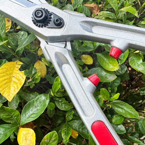 园艺花剪专用草坪剪篱笆剪修剪树枝剪刀园林果树修枝大剪刀 - 图2