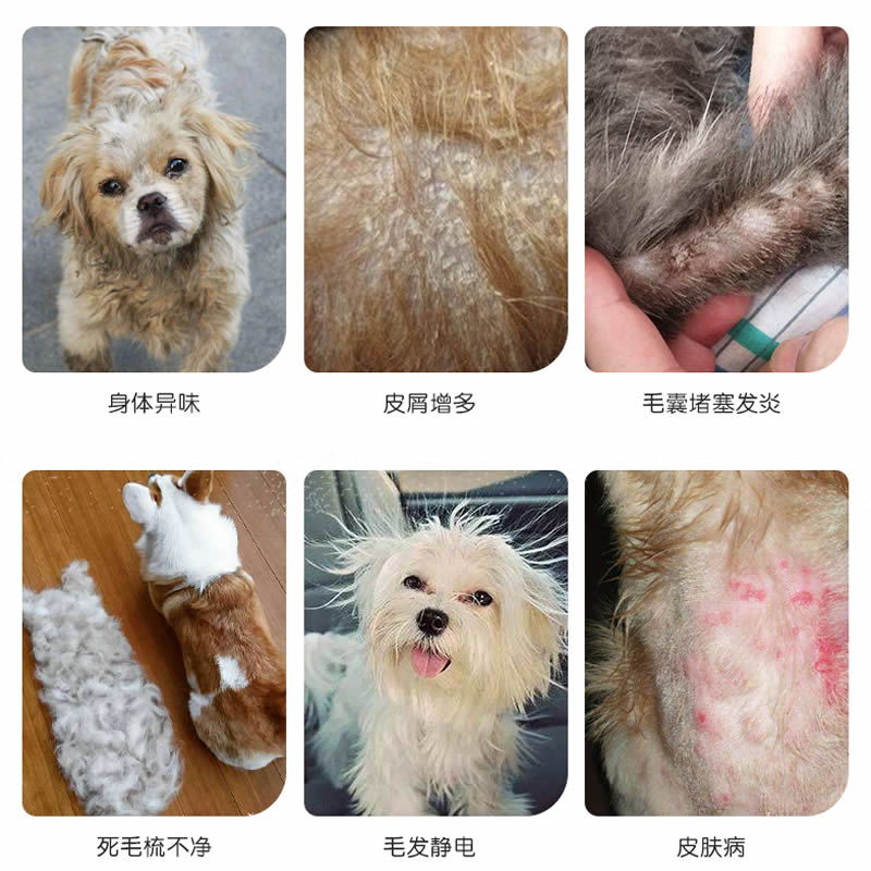 萌货食堂Grooming Tab猫犬重碳酸片spa泡腾片去浮毛皮屑美毛开结 - 图2