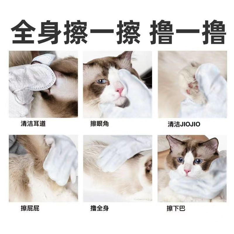 宠物免洗清洁手套湿巾幼猫狗狗一次性专用干洗护理用品除臭免洗澡,淘宝优惠券,粉丝福利购,淘宝优惠卷