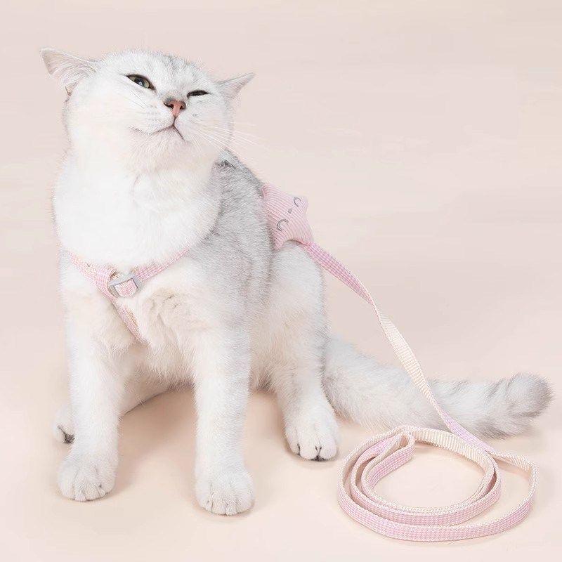 猫咪牵引绳防挣脱不勒脖外出专用猫绳溜猫绳小猫幼猫遛猫神器宠物,淘宝优惠券,粉丝福利购,淘宝优惠卷