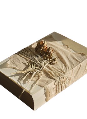 手工工艺摆件新中式书桌案几台面装饰品书柜模型假书道具书模型