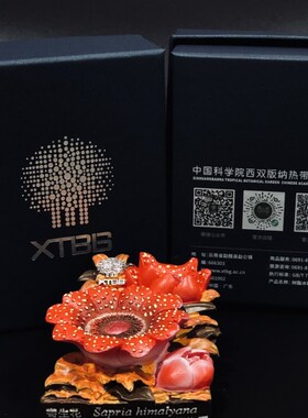 西双版纳热带植物园文创 树脂冰箱贴  寄生花 中国仅有的大花草科