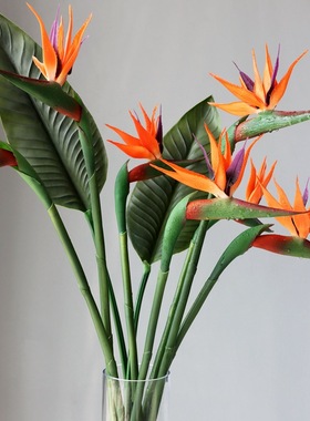 单枝大号软胶天堂鸟仿真假花塑料中式家居装饰摆件婚庆摄影