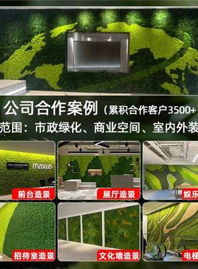 青苔苔藓植物造景永生苔藓植物墙仿真绿植墙装饰材料盒装苔藓