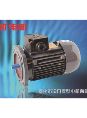 380V50HZ电动推杆电液推杆配套电机