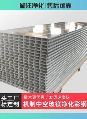 机制中空玻镁净化夹芯彩钢板自己安装防火洁净板隔墙无尘车间吊顶