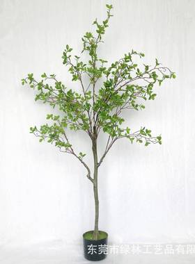 仿真椿树高档美式加密款落地植物橄榄树盆景摄影道具装饰盆栽