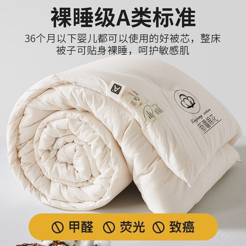 新疆棉花被子冬被棉被加厚保暖冬季纯棉花被芯冬天单人春秋被棉絮,淘宝优惠券,粉丝福利购,淘宝优惠卷