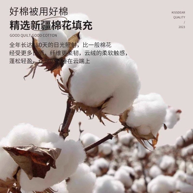 新疆棉花被子冬被棉被加厚保暖冬季纯棉花被芯冬天单人春秋被棉絮,淘宝优惠券,粉丝福利购,淘宝优惠卷